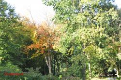 Herfst.